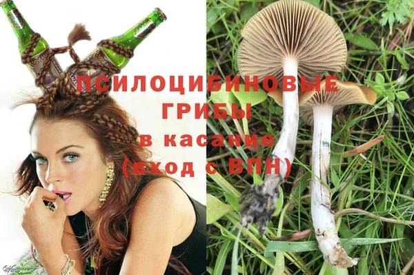 ECSTASY Алексеевка