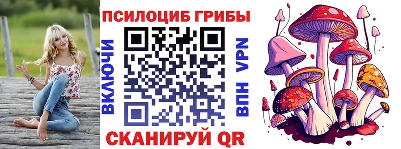 Галлюциногенные грибы Psilocybine cubensis цены Сортавала